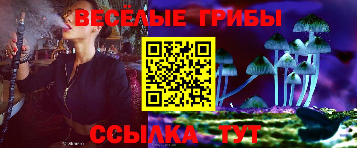 Псилоцибиновые грибы Psilocybine cubensis Азов